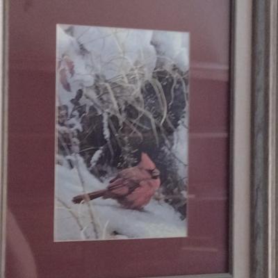 'Cardinal in the Snow' Print by Robert Bateman- Framed Under Glass- Approx 16" x 18 1/2"