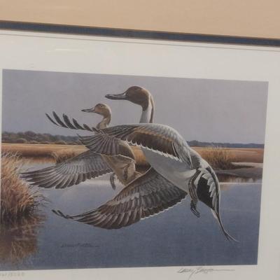 NC State Duck Stamp and Limited Edition Print by Larry Barton- Double Signed and Numbered- Framed Under Glass- Approx 17" x 19"