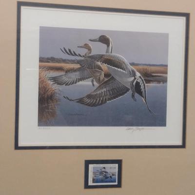 NC State Duck Stamp and Limited Edition Print by Larry Barton- Double Signed and Numbered- Framed Under Glass- Approx 17" x 19"