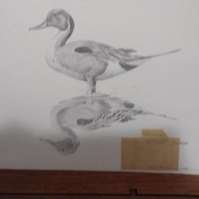 NC State Duck Stamp and Limited Edition Print by Larry Barton- Double Signed and Numbered- Framed Under Glass- Approx 17" x 19"
