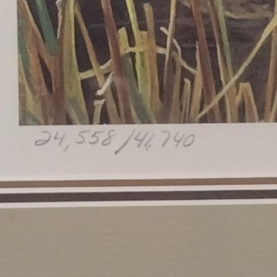 Canadian Duck Stamp and Print by Robert Bateman- Double Signed and Numbered- Framed Under Glass- Approx 17" x 15"