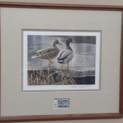 Canadian Duck Stamp and Print by Robert Bateman- Double Signed and Numbered- Framed Under Glass- Approx 17" x 15"