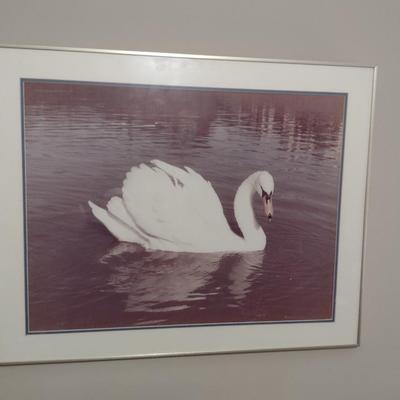 Photograph by Local Artist- Framed Under Glass- Approx 30 1/4" x 24 1/4"