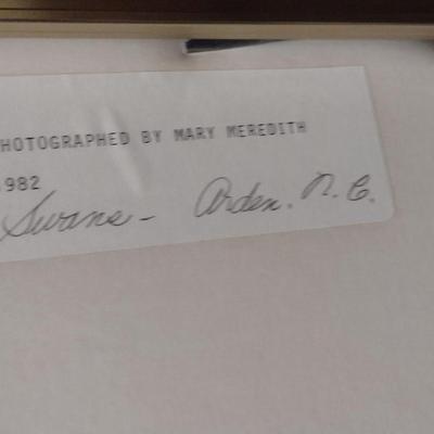 Photograph by Local Artist- Framed Under Glass- Approx 30 1/4" x 24 1/4"