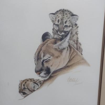 'Cougar & Cubs' by Guy Coheleach- Double Signed- Framed Under Glass- Approx 29 3/4" x 34 1/4"