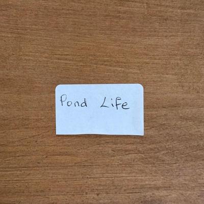 Marion Kaminkow Wood Carving Art "Pond Life" (LR-DZ)