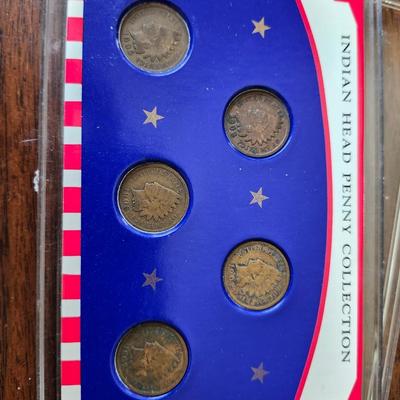 Indian Head Penny Collection