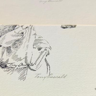 LOT 228: Collection of 11 Different Tony Oswald Equestrian Prints