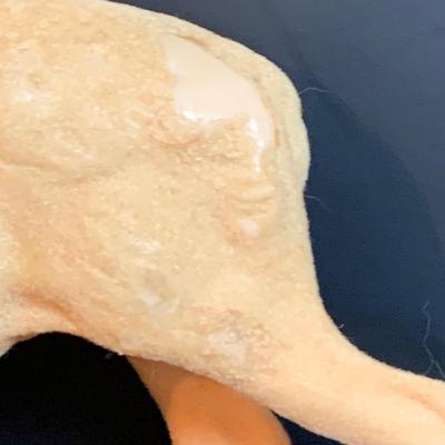 LOT 322: Vintage Santa Claus, Vintage Red Santa Boot Container and a Vintage Flocked Reindeer