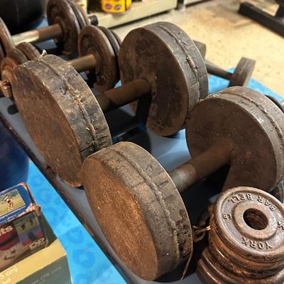 LOT 8B: Collection Of Weights, Weight Bench & Exercise Equipment