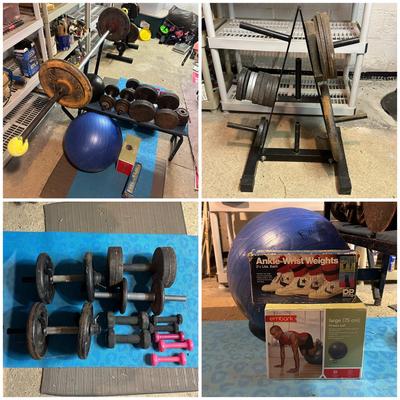 LOT 8B: Collection Of Weights, Weight Bench & Exercise Equipment