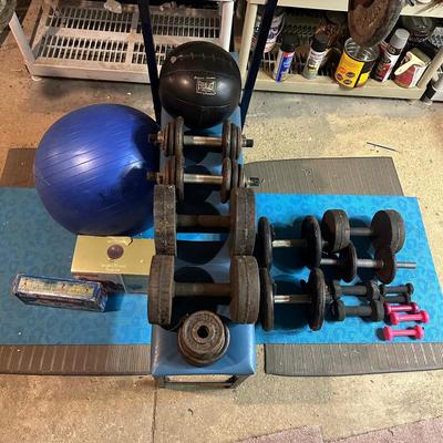 LOT 8B: Collection Of Weights, Weight Bench & Exercise Equipment