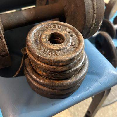 LOT 8B: Collection Of Weights, Weight Bench & Exercise Equipment