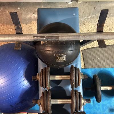 LOT 8B: Collection Of Weights, Weight Bench & Exercise Equipment