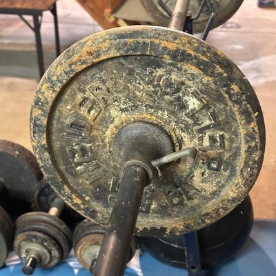 LOT 8B: Collection Of Weights, Weight Bench & Exercise Equipment