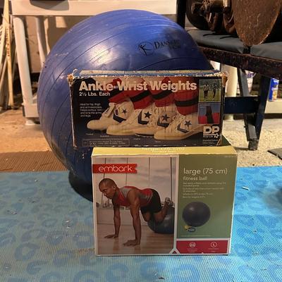 LOT 8B: Collection Of Weights, Weight Bench & Exercise Equipment
