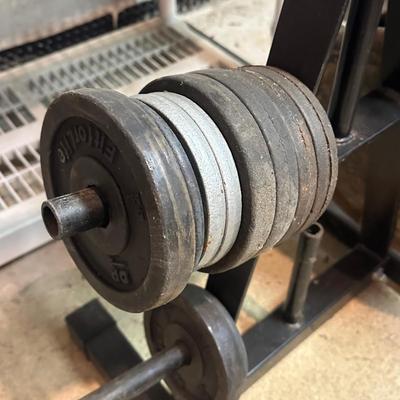 LOT 8B: Collection Of Weights, Weight Bench & Exercise Equipment