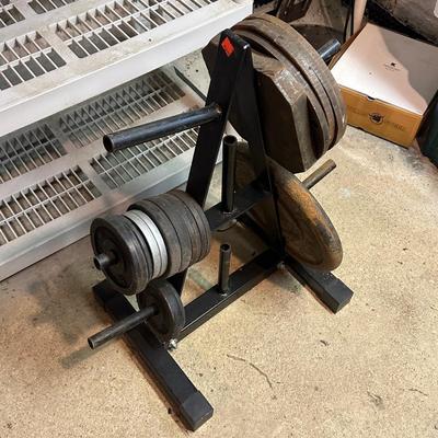 LOT 8B: Collection Of Weights, Weight Bench & Exercise Equipment