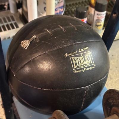 LOT 8B: Collection Of Weights, Weight Bench & Exercise Equipment