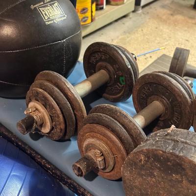 LOT 8B: Collection Of Weights, Weight Bench & Exercise Equipment