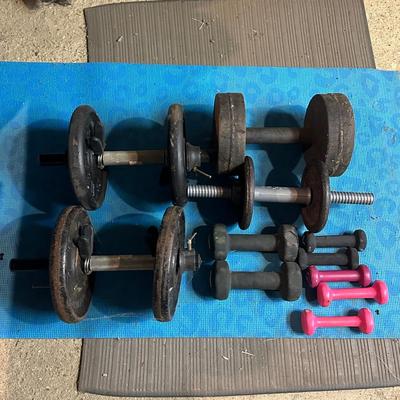LOT 8B: Collection Of Weights, Weight Bench & Exercise Equipment