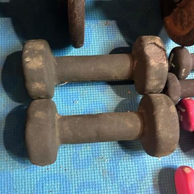 LOT 8B: Collection Of Weights, Weight Bench & Exercise Equipment
