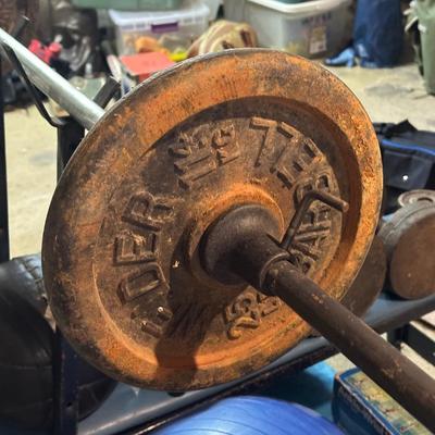 LOT 8B: Collection Of Weights, Weight Bench & Exercise Equipment