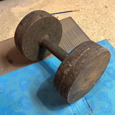 LOT 8B: Collection Of Weights, Weight Bench & Exercise Equipment