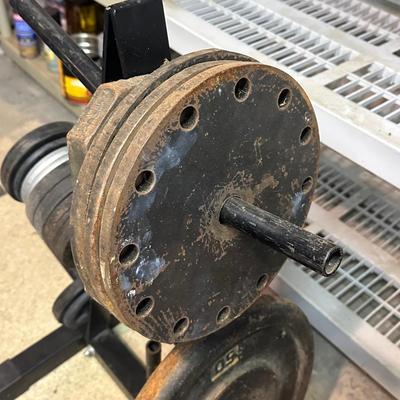 LOT 8B: Collection Of Weights, Weight Bench & Exercise Equipment