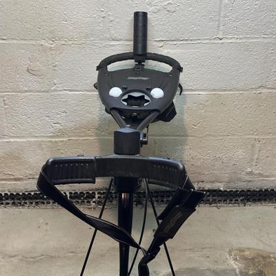 LOT 9B: Golfing Collection - Multiple Sets Of Clubs, Bags, Bag Boy Cart & More