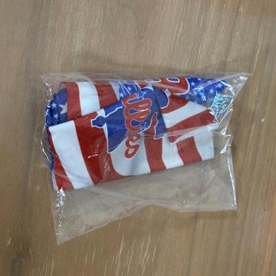 LOT 29Y: Philadelphia Phillies 2008 World Series Champions Poster, Tote Bag, Mirror & More