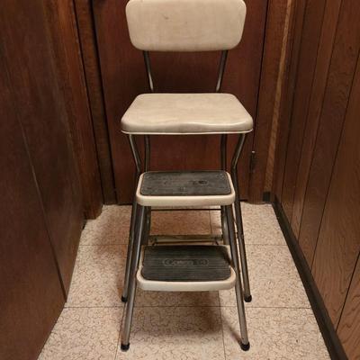 LOT 67K: Costco Fold Out Step Stool
