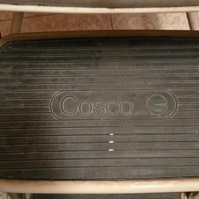 LOT 67K: Costco Fold Out Step Stool