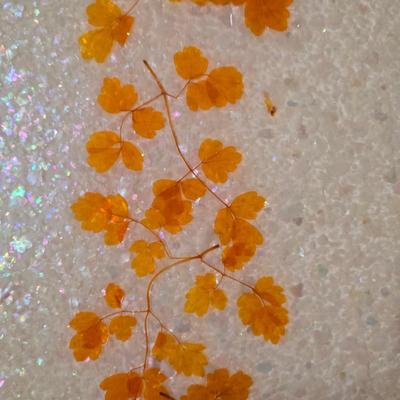 LOT 76X: MCM Dimensional Plastics Corp. Glamourama End Table From J.B. Van Sciver Co.