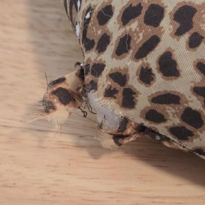 LOT 81K: Table and 2 Chairs