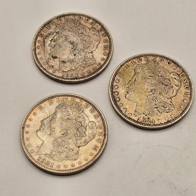 LOT 107J: Three 1921-D Morgan Silver Dollars