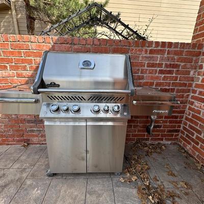 Outdoor - Back Patio - Napoleon Natural Gas Grill