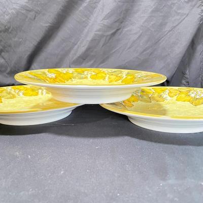 17 Piece Rampini Ceramics Dining Ware Set (K-SS)