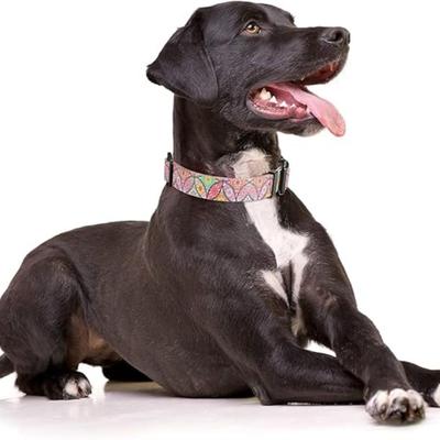 Size Large Colorful Sacred Pink Mandala Art Printed Adjustable Quick Release Nylon Dog Collar w/Durable D-Ring