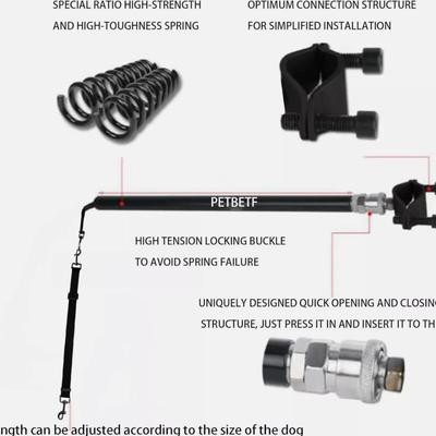 Hands Free Dog Bike Leash w/Quick Connect