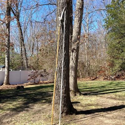 LOT 32G: Craftsman High Limb Cutter, Craftsman 15 Weed Trimmer, Fiskars Longneck Grass Shears and Quickie 16" Telescopic Utility Pole