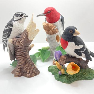 LOT 78K: Collection of Lenox Fine Porcelain Bird Figurines - Red-headed Woodpecker, Downy Woodpecker and Rose-breasted Grosbeak