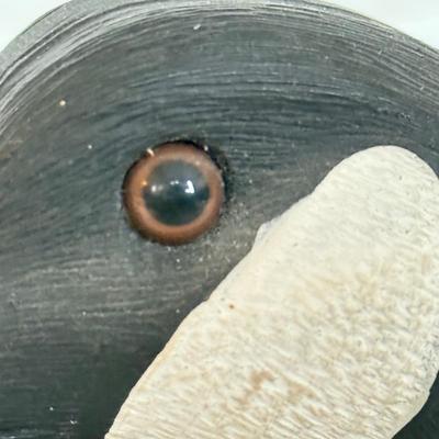 LOT 133K: 1991 Signed American Wildlife Collection Canada Goose Decory by B. Campbell