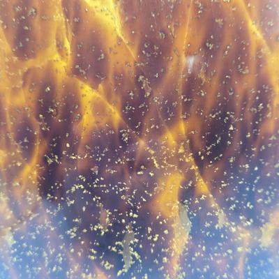 LOT 140K: Glass Vase with Gold Colored Glitter and Accents