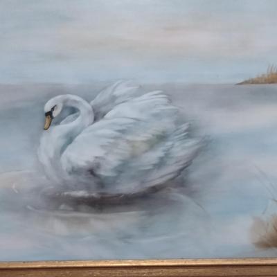 Swan Design Painting by Local Artist- Framed Under Glass- Approx 11" x 15"