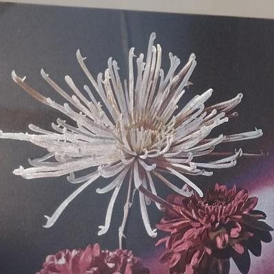 Dufex Foil Chrysanthemums Print- Framed Under Glass- Approx 9 3/4" x 12"