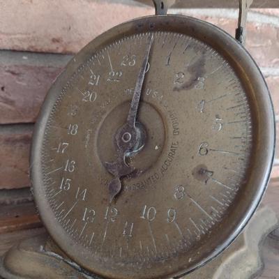 Vintage Family Countertop Scale