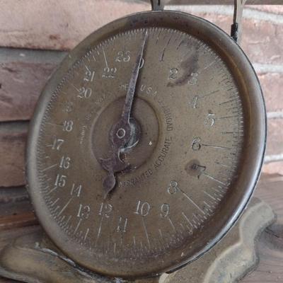 Vintage Family Countertop Scale