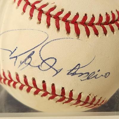 Rafael Palmerio OMLB Signed Autographed Baseball In Collectors Case