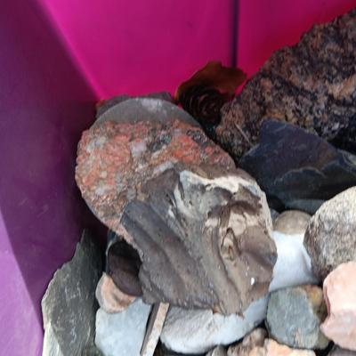 ROCKS, FOSSIL AND WHO KNOWS WHAT ELSE